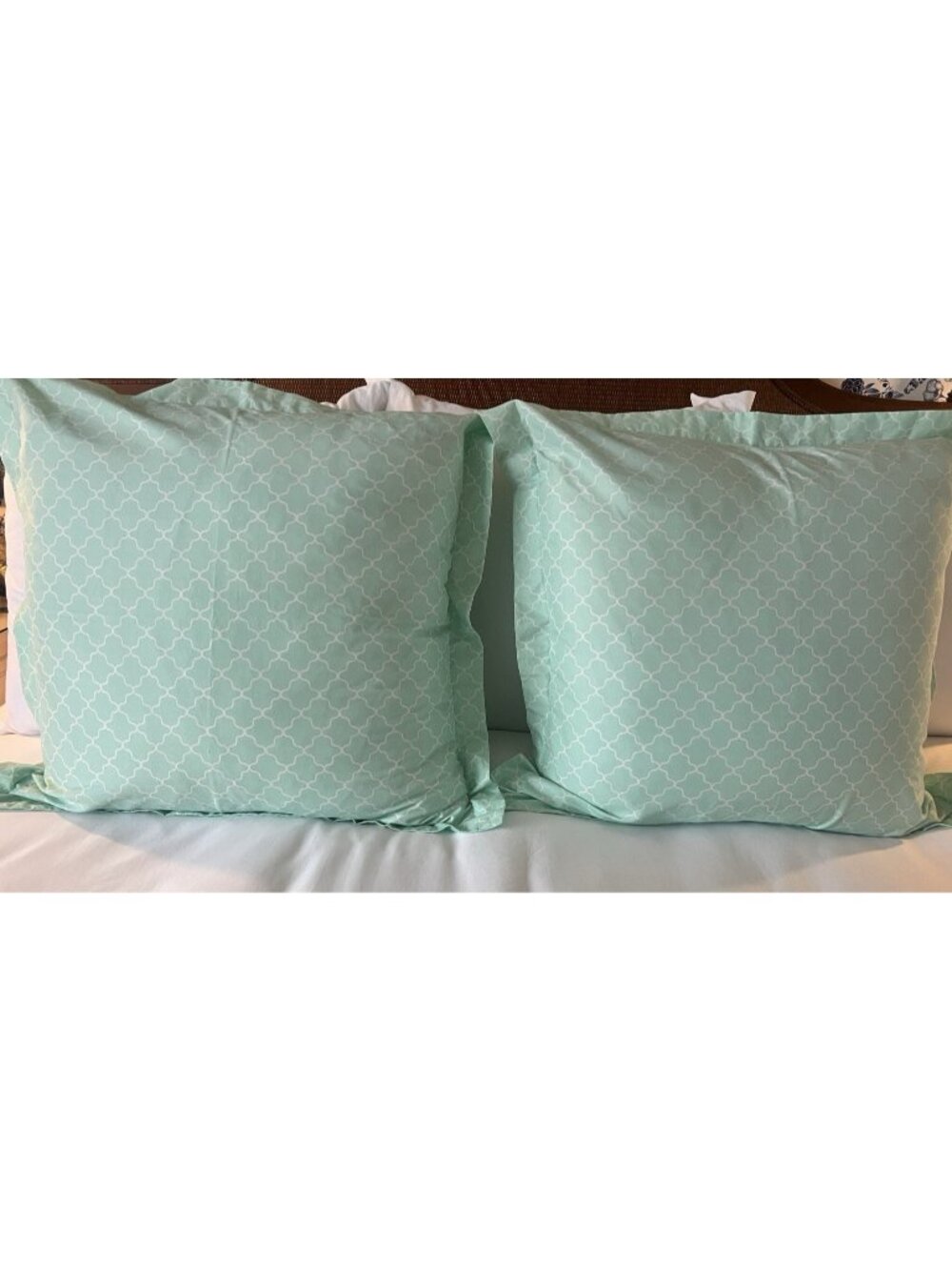 JONATHAN ADLER EURO Shams PR Happy Chic Trefoil Geometric Seafoam Green PRISTINE